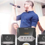 Karaoke di TV LED Polytron