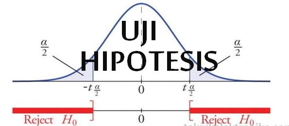 Pengertian Uji Hipotesis dan Jenis-jenisnya